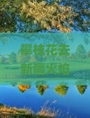 攀枝花去新疆火焰山旅游