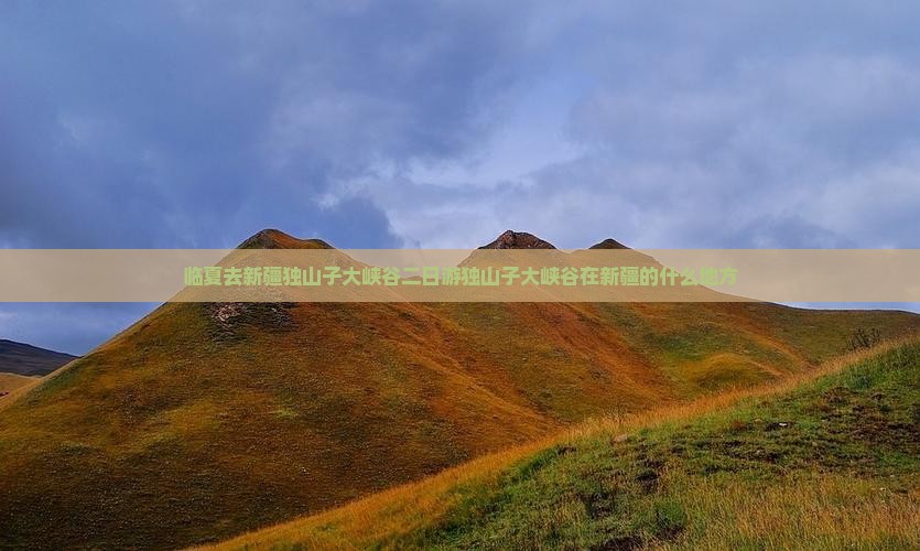 临夏去新疆独山子大峡谷二日游