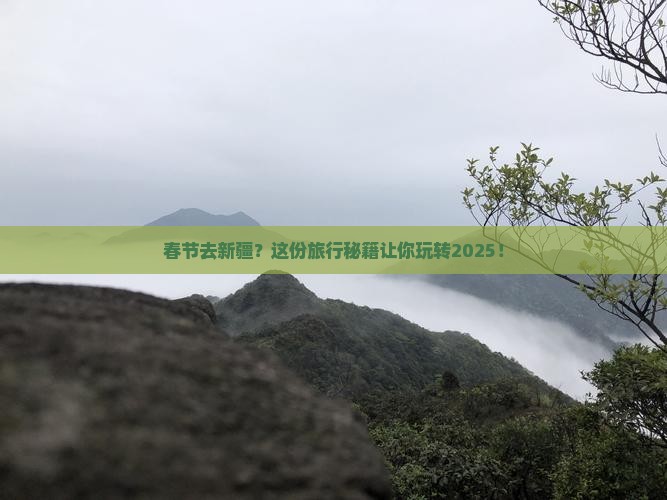春节去新疆旅行社