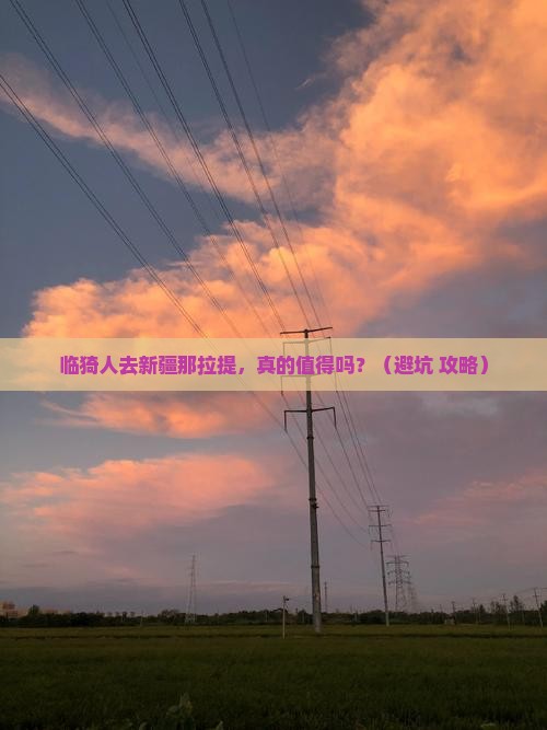 临猗去新疆那拉提旅行社