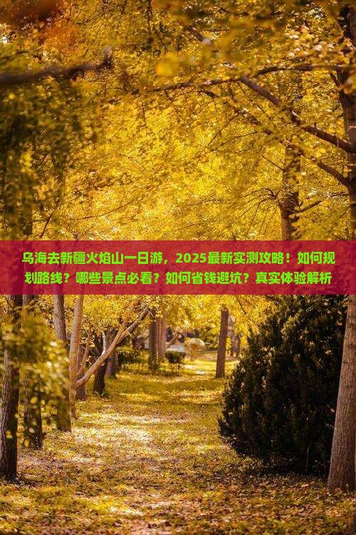 乌海去新疆火焰山一日