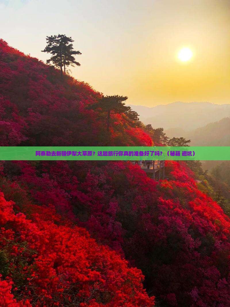 阿泰勒去新疆伊犁大草原景点