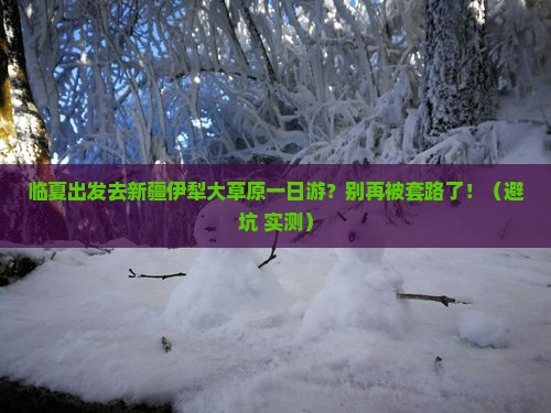 临夏去新疆伊犁大草原一日