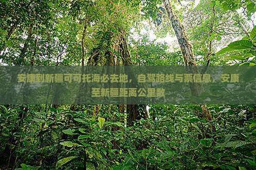 安康到新疆可可托海必去地