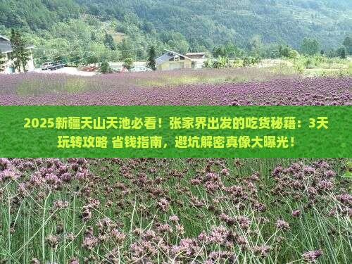 张家界去新疆天山天池旅游小吃