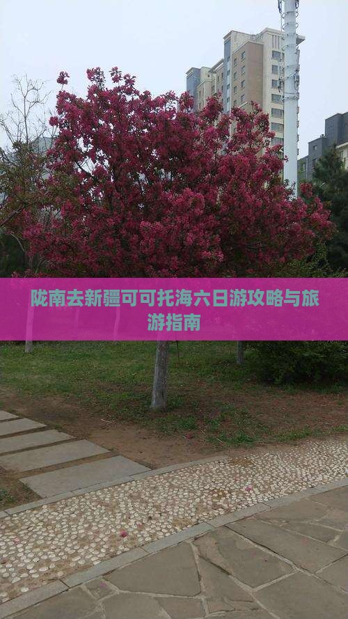 陇南去新疆可可托海六日游