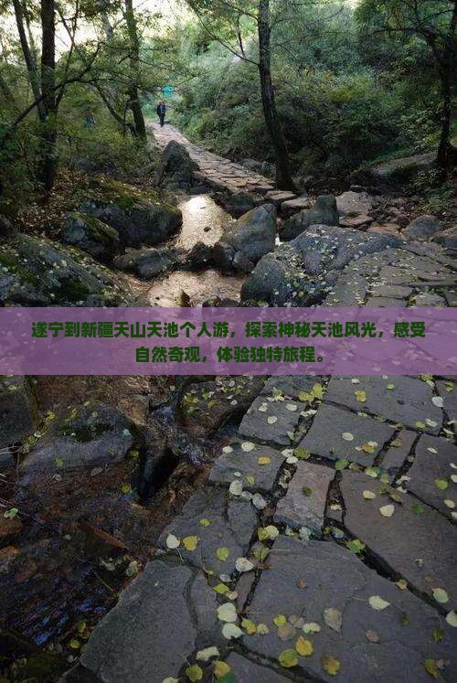 遂宁到新疆天山天池个人游