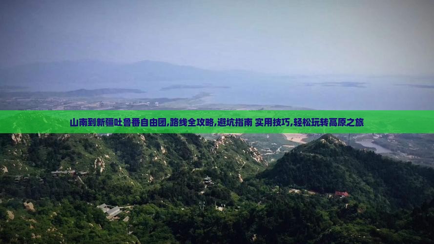 山南到新疆吐鲁番自由团