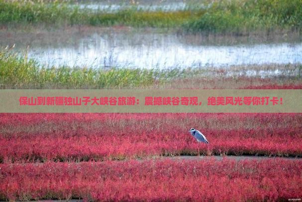 保山到新疆独山子大峡谷旅游