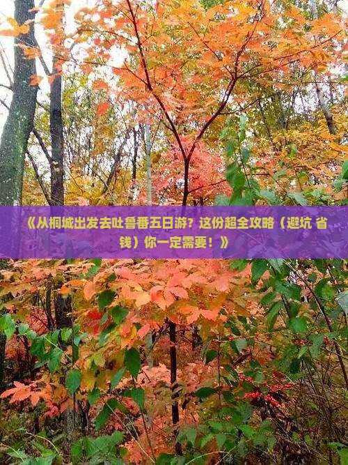 桐城去新疆吐鲁番五日游