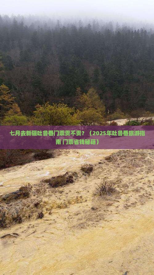 七月去新疆吐鲁番门票