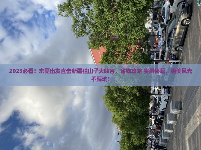 东莞去新疆独山子大峡谷自由团