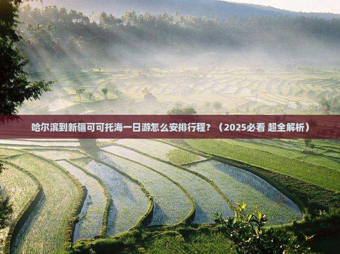 哈尔滨到新疆可可托海一日