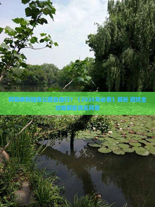 阿勒泰到新疆独库公路自由行