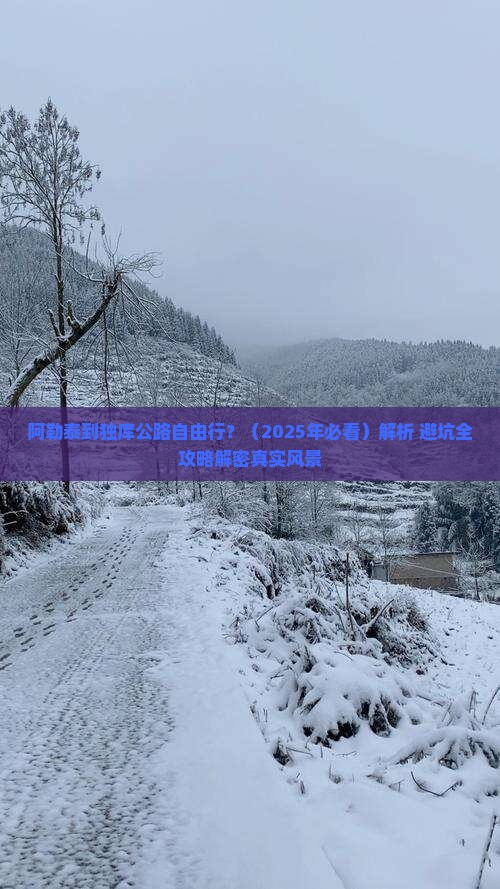 阿勒泰到新疆独库公路自由行