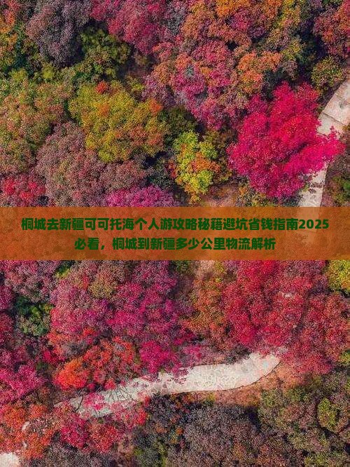 桐城去新疆可可托海个人游