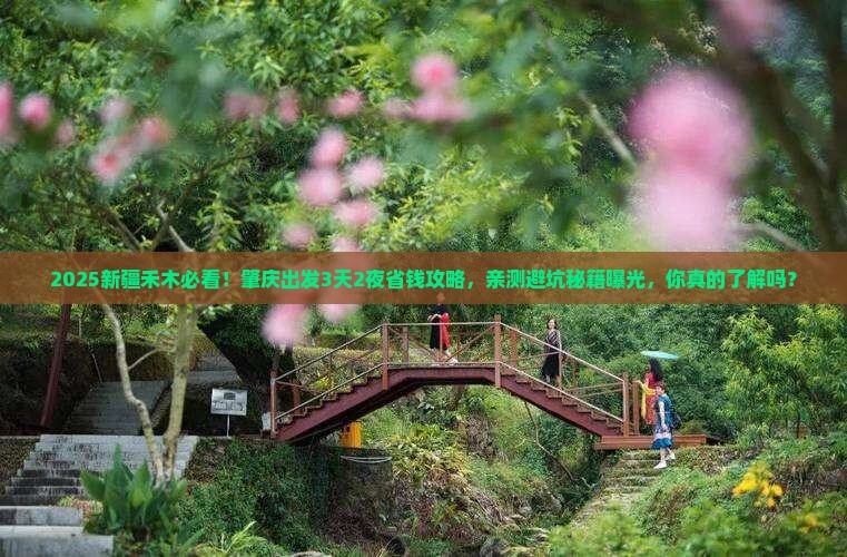 肇庆到新疆禾木景点