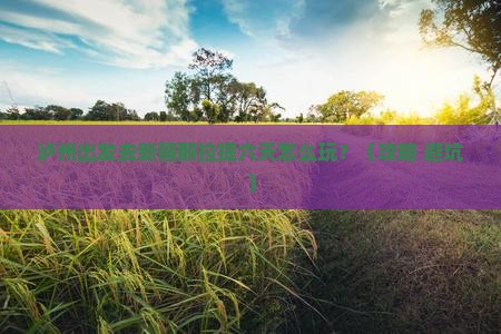 泸州到新疆那拉提六日游