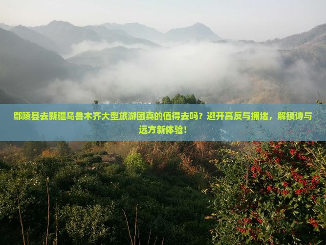 鄢陵县去新疆乌鲁木齐大型旅游团