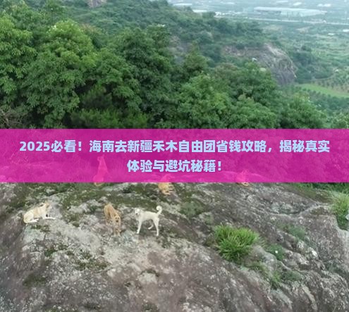 海南去新疆禾木自由团
