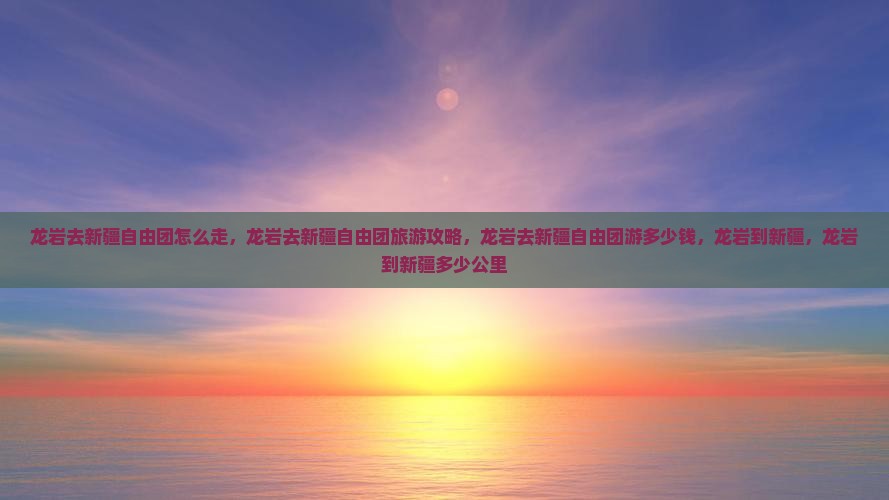龙岩去新疆自由团