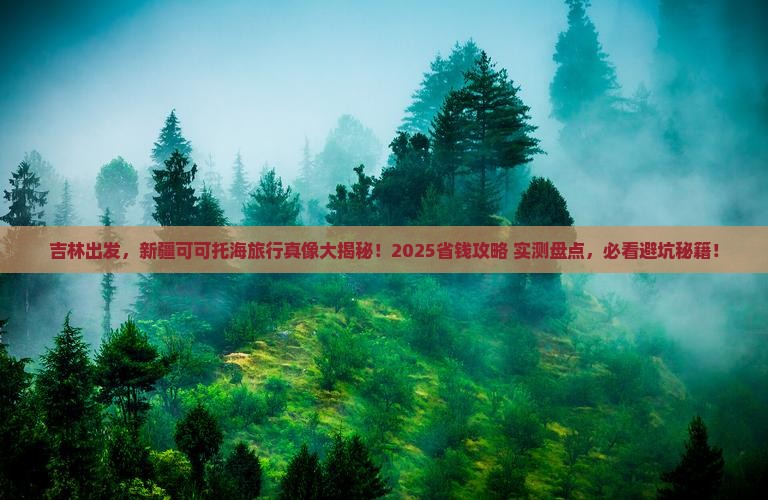 吉林到新疆可可托海旅行社