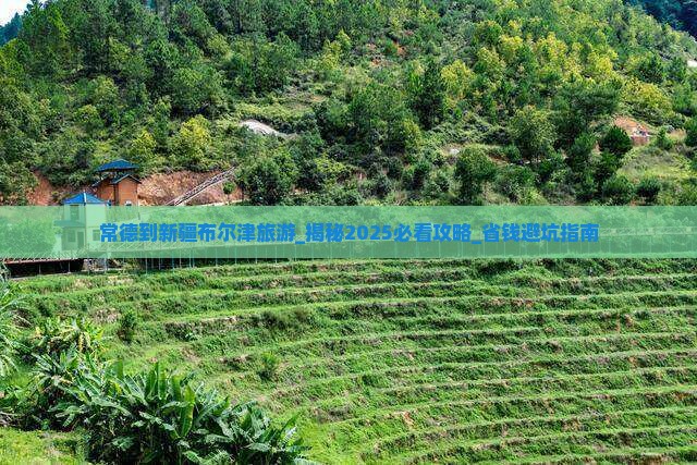 常德到新疆布尔津旅游
