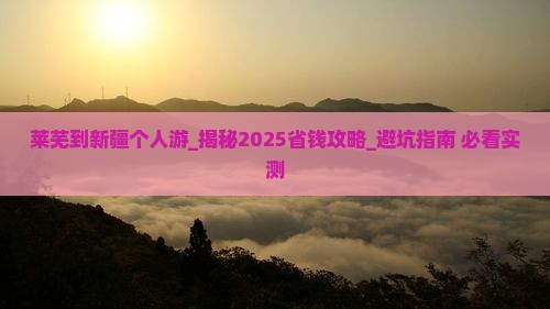 莱芜到新疆个人游