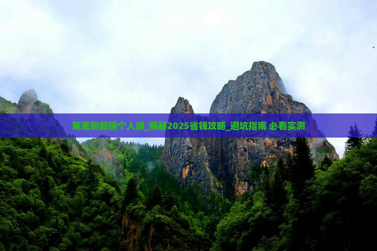 莱芜到新疆个人游