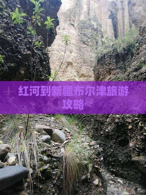 红河到新疆布尔津攻略
