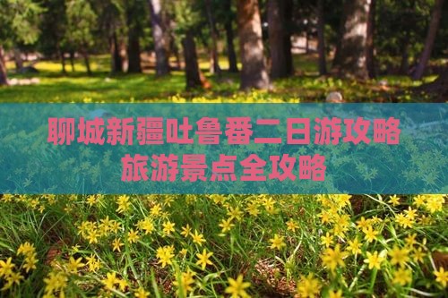聊城到新疆吐鲁番二日游
