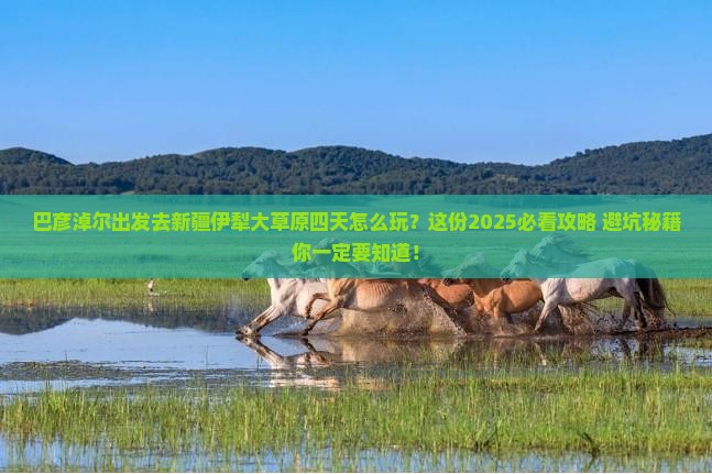 巴彦倬尔去新疆伊犁大草原四日游
