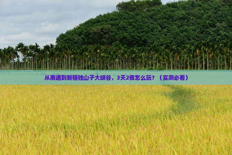 南通去新疆独山子大峡谷自由行