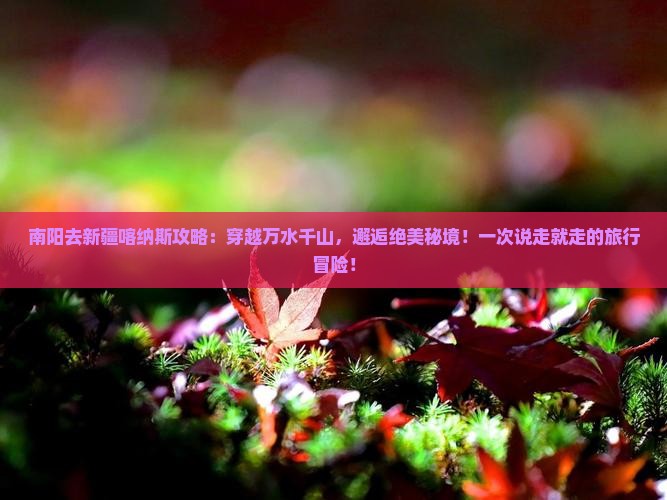 南阳去新疆喀纳斯攻略