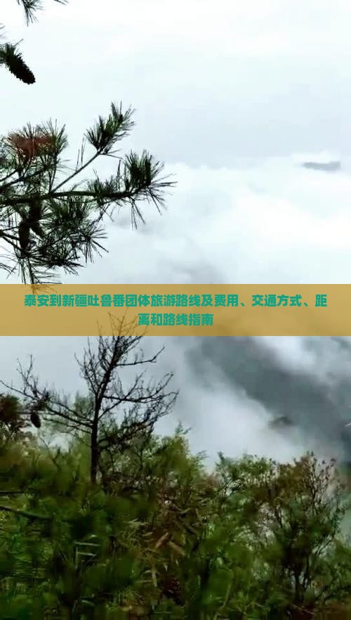 泰安到新疆吐鲁番团体旅游