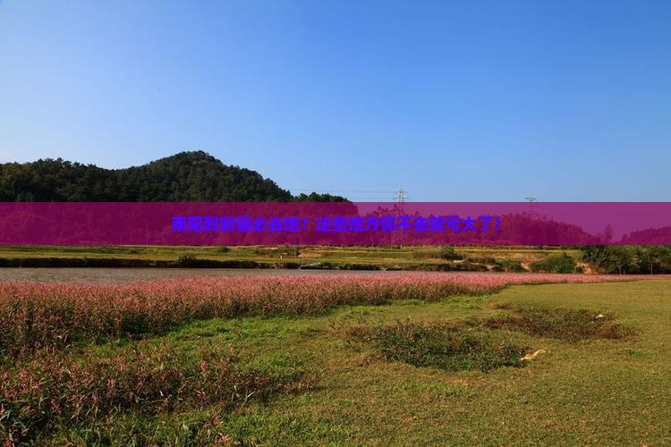 南阳到新疆必去地