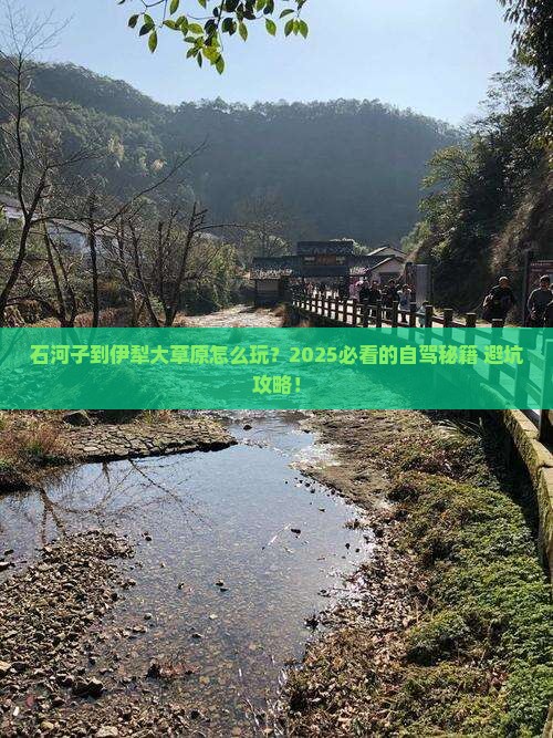 石河子到新疆伊犁大草原个人游