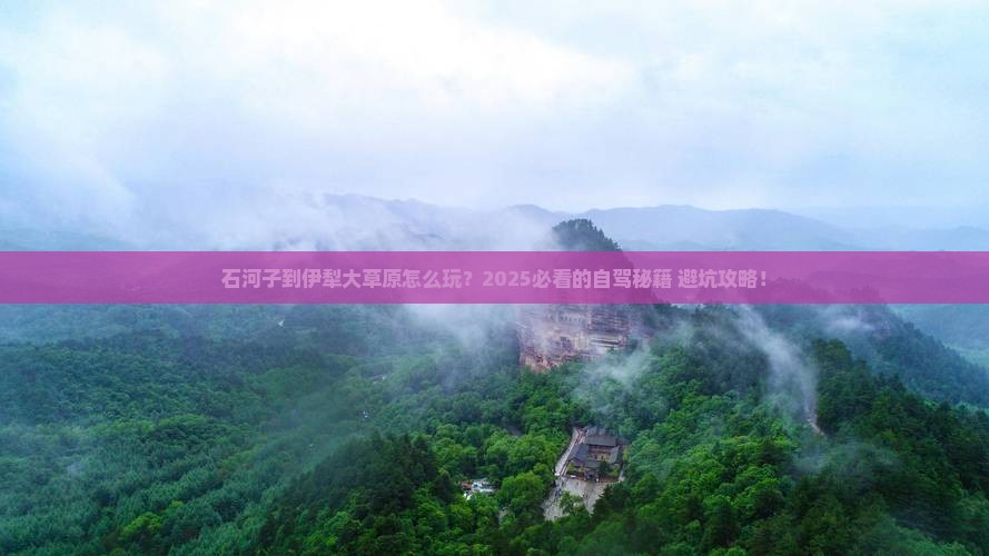 石河子到新疆伊犁大草原个人游