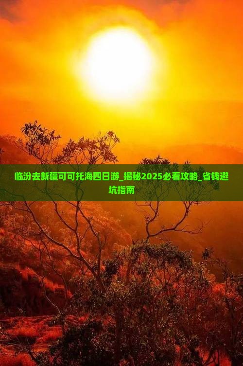 临汾去新疆可可托海四日游