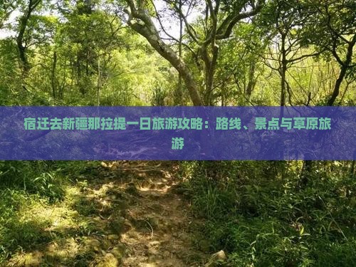 宿迁去新疆那拉提一日