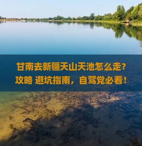 甘南去新疆天山天池景点