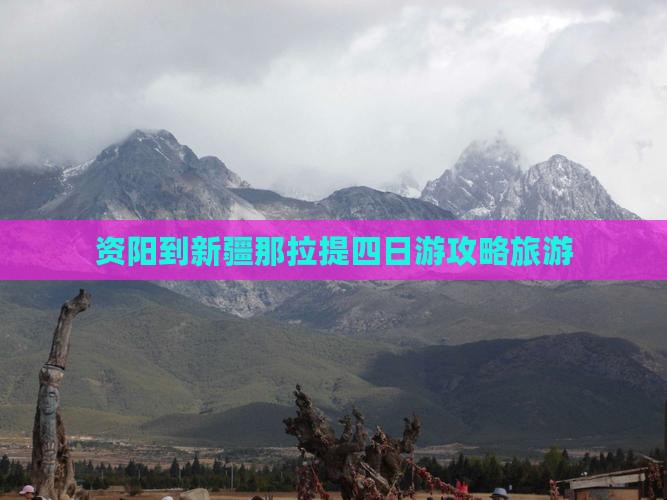 资阳到新疆那拉提四日游
