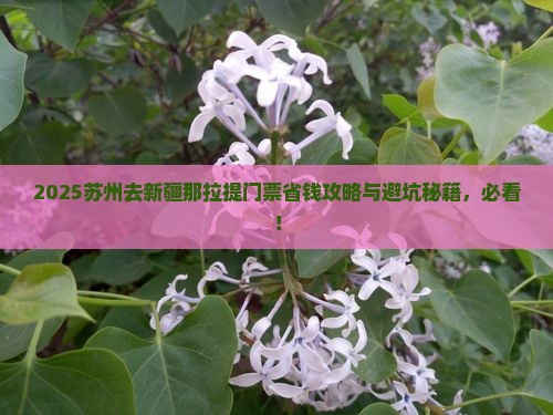苏州去新疆那拉提门票