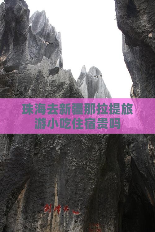 珠海去新疆那拉提旅游小吃