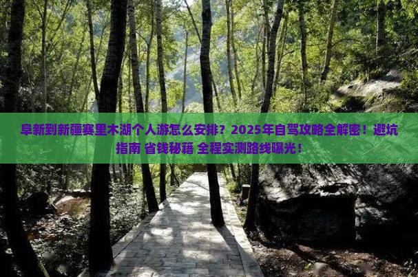 阜新到新疆赛里木湖个人游