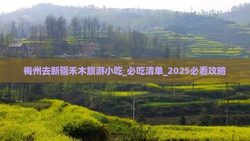 梅州去新疆禾木旅游小吃