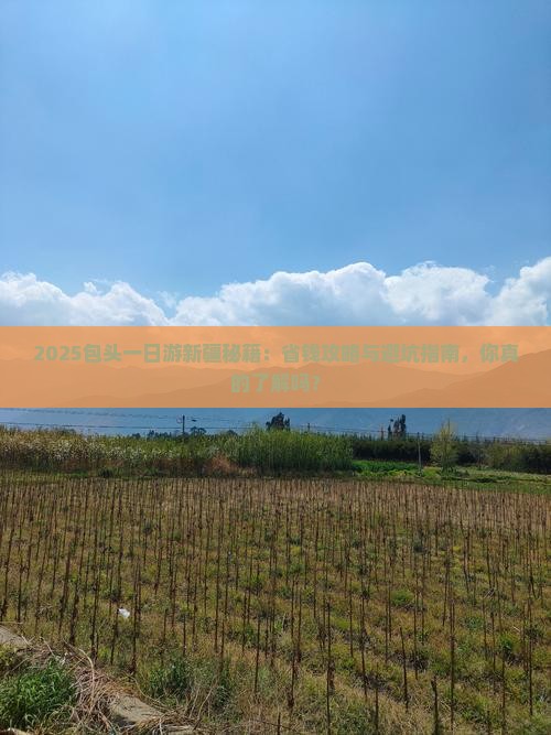 包头去新疆一日