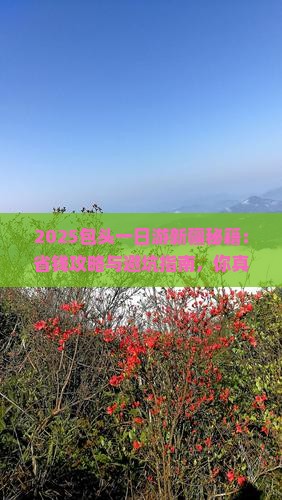 包头去新疆一日