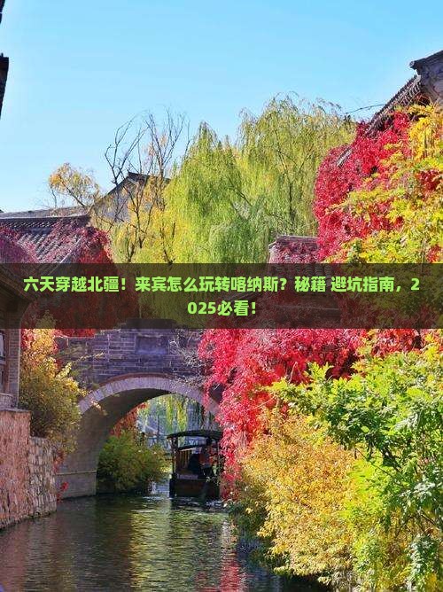 来宾到新疆喀纳斯六日游