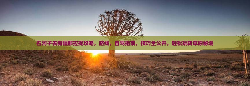 石河子去新疆那拉提攻略